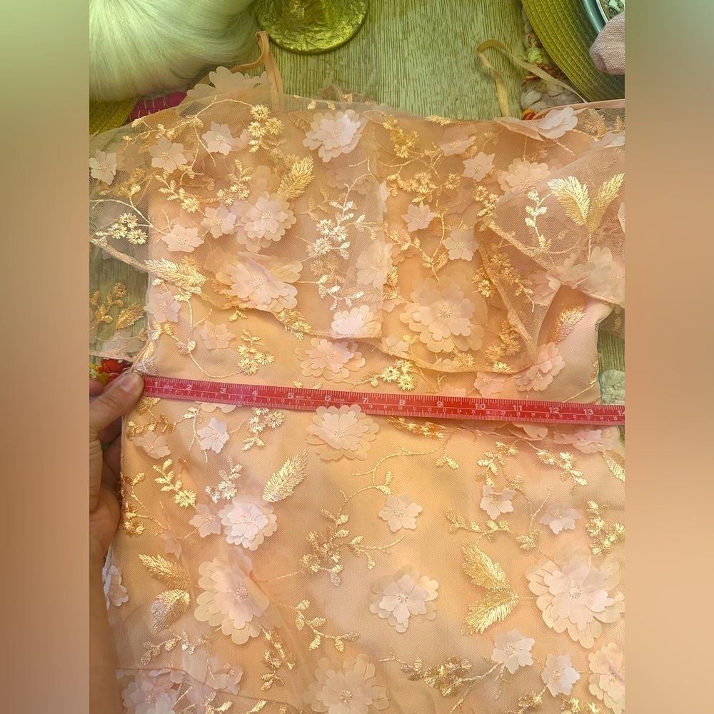 ASOS light pink/nude dainty flower cut out sheer dress sz 4 - NWT - Picture 15 of 16